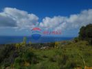 Parcel 8.981sqm for sale-Lampi » Melampes