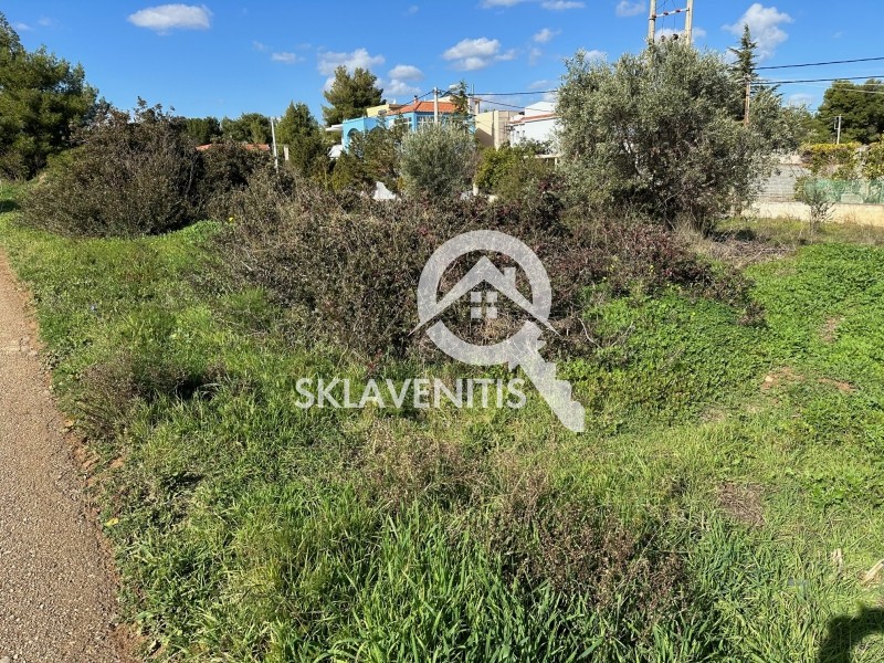 Οικόπεδο 303 τ.μ. πρός πώληση, Αθήνα - Ανατολικά Προάστια, Αρτέμιδα (λούτσα)