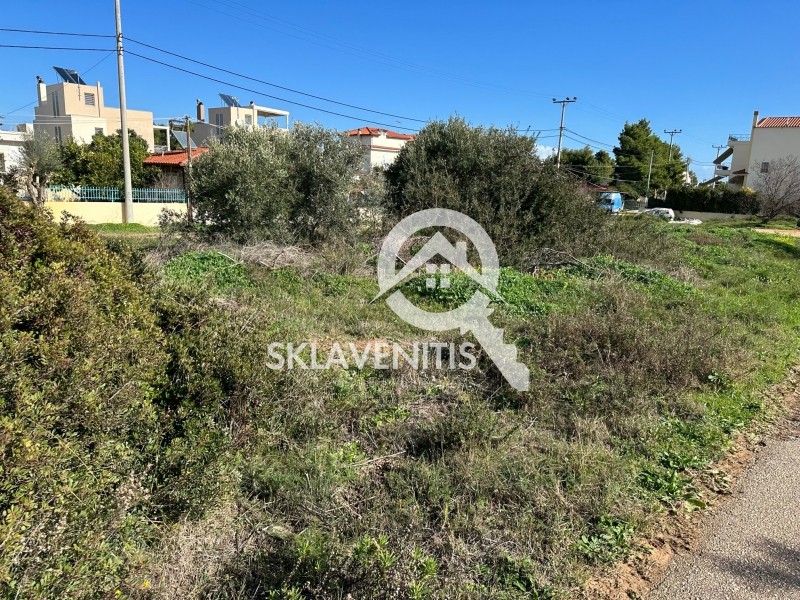 Οικόπεδο 303 τ.μ. πρός πώληση, Αθήνα - Ανατολικά Προάστια, Αρτέμιδα (λούτσα)