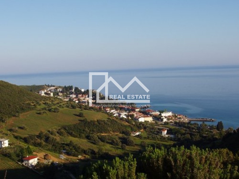 Ξενοδοχείο 2.994 τ.μ. προς πώληση, Άφυτος