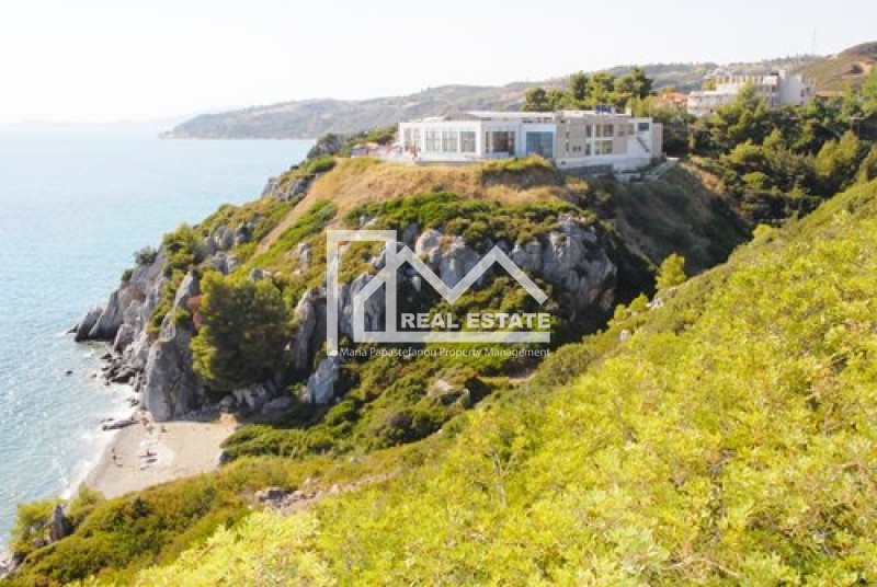 Ξενοδοχείο 2.994 τ.μ. προς πώληση, Άφυτος