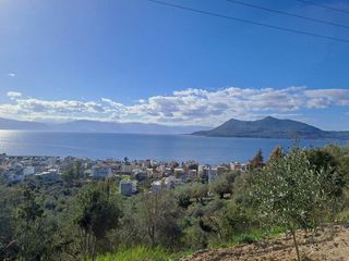 Βίλλα 315 τ.μ. για πώληση, Εύβοια, Αιδηψός-thumb-25