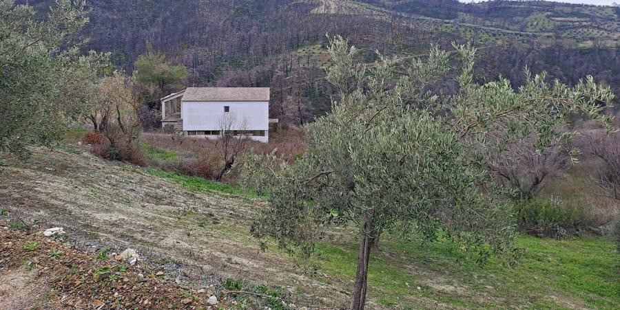 Μονοκατοικία 200 τ.μ. προς πώληση, Ρετσινόλακκος