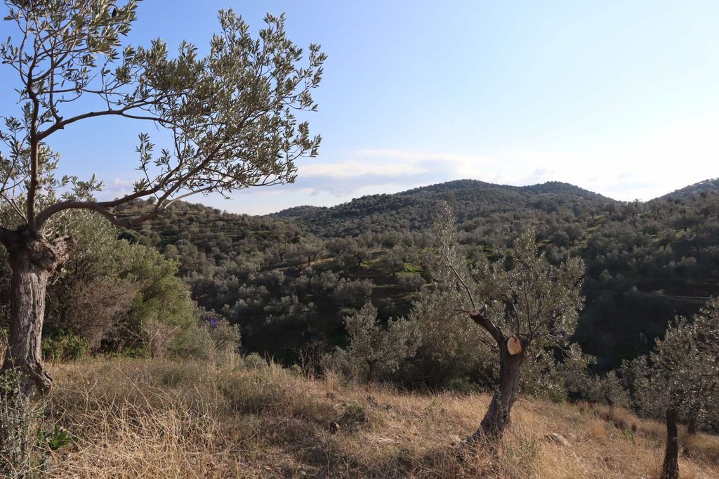 Οικόπεδο 52.000 τ.μ. πρός πώληση, Νησιά Αργοσαρωνικού, Τροιζήνα