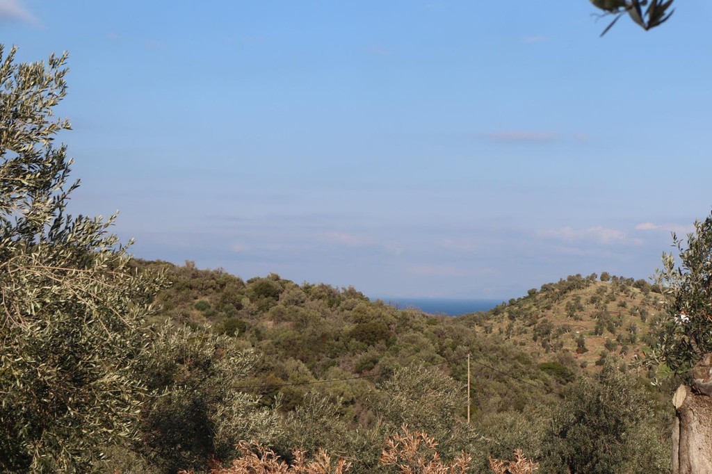 Οικόπεδο 52.000 τ.μ. πρός πώληση, Νησιά Αργοσαρωνικού, Τροιζήνα