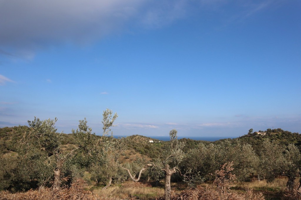 Οικόπεδο 52.000 τ.μ. πρός πώληση, Νησιά Αργοσαρωνικού, Τροιζήνα
