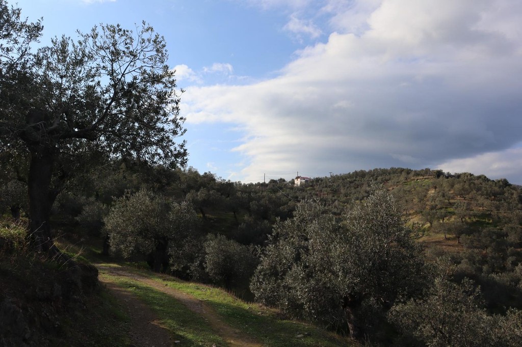 Οικόπεδο 52.000 τ.μ. πρός πώληση, Νησιά Αργοσαρωνικού, Τροιζήνα