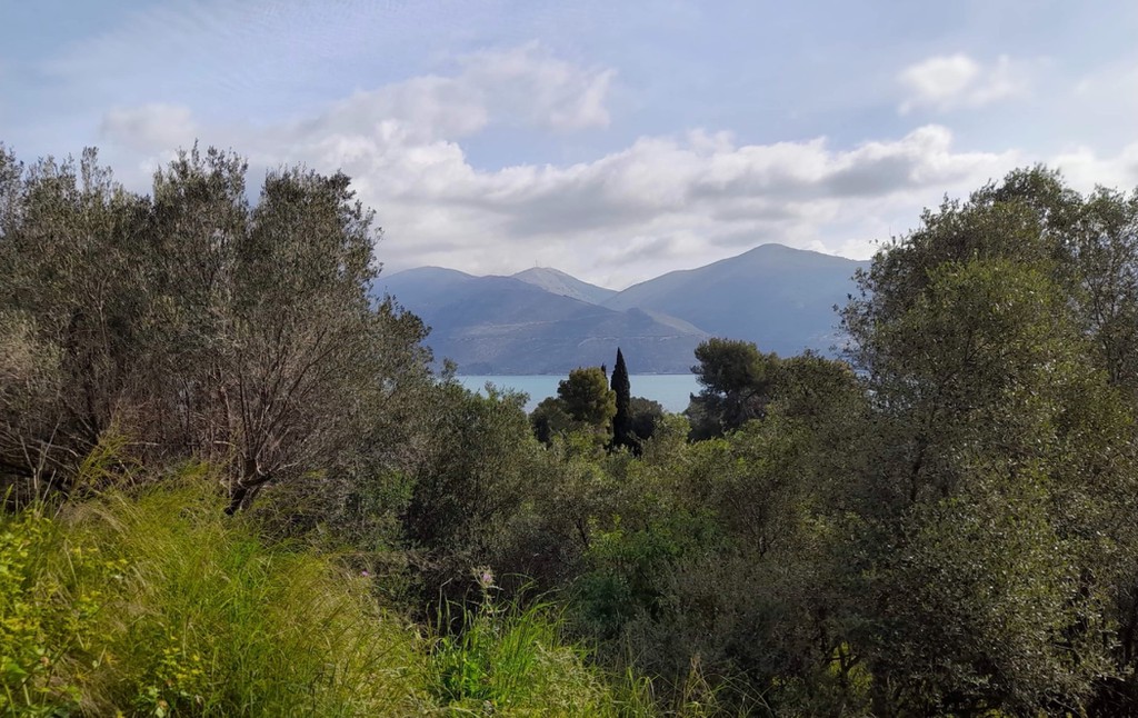 Οικόπεδο 11.500 τ.μ. προς πώληση, Παλική
