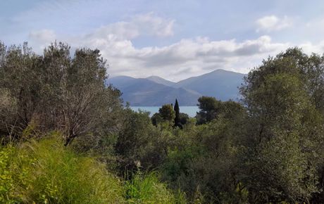 Land plot 11.500sqm for sale-Kefalonia » Paliki