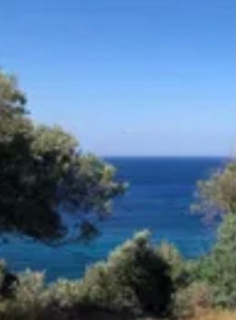 Οικόπεδο 300.000 τ.μ. για πώληση