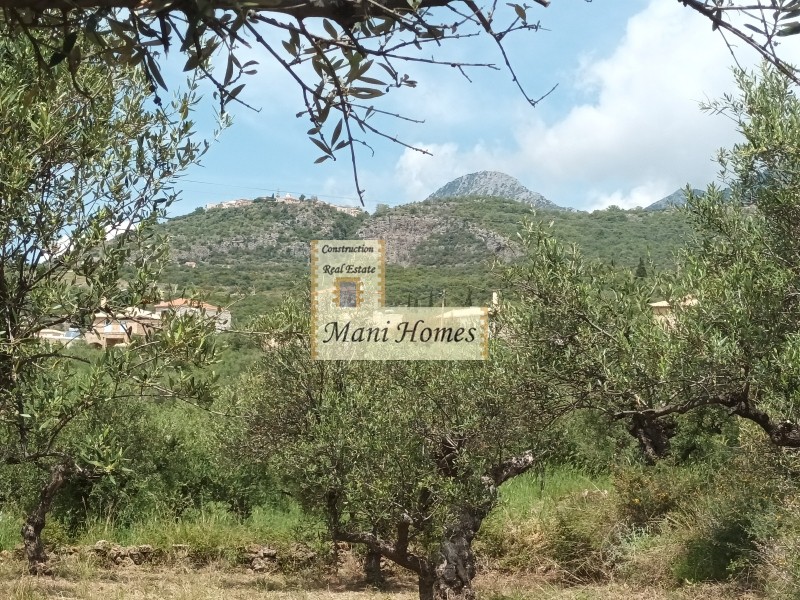 Οικόπεδο 800 τ.μ. πρός πώληση, Μεσσηνία, Λεύκτρος