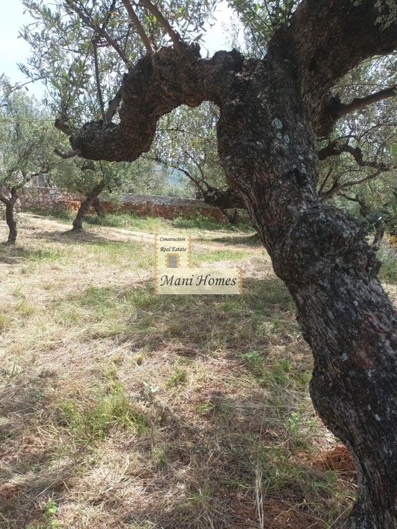 Οικόπεδο 800 τ.μ. πρός πώληση, Μεσσηνία, Λεύκτρος