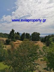 Συγκρότημα διαμερισμάτων 840 τ.μ. προς πώληση, Δρυμώνα-thumb-25