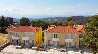 Συγκρότημα διαμερισμάτων 840 τ.μ. προς πώληση, Δρυμώνα-thumb-2