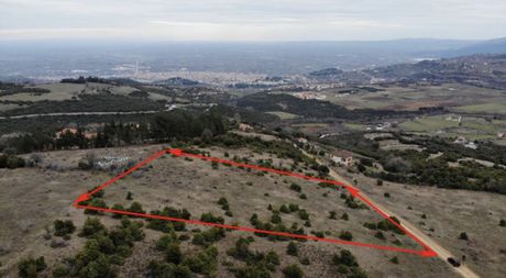 Αγροτεμάχια 8.637 τ.μ. για πώληση