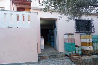 Μονοκατοικία 252 τ.μ. για πώληση, Εύβοια, Λίμνη-thumb-17