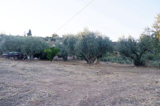 Μονοκατοικία 252 τ.μ. για πώληση, Εύβοια, Λίμνη-thumb-19