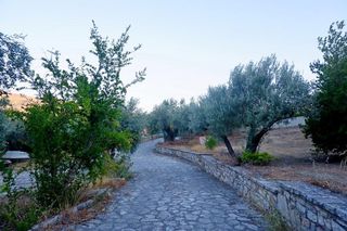 Μονοκατοικία 252 τ.μ. για πώληση, Εύβοια, Λίμνη-thumb-21