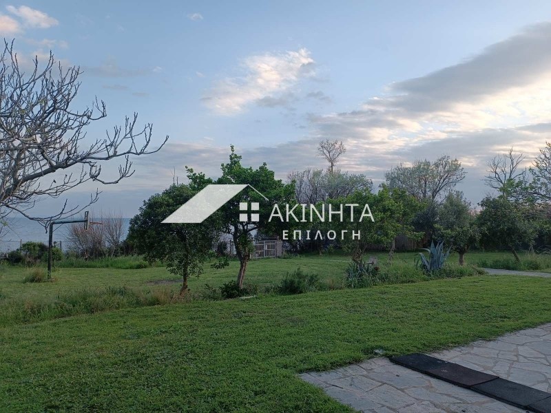 Βίλλα 185 τ.μ. πρός πώληση, Εβρος, Αλεξανδρούπολη