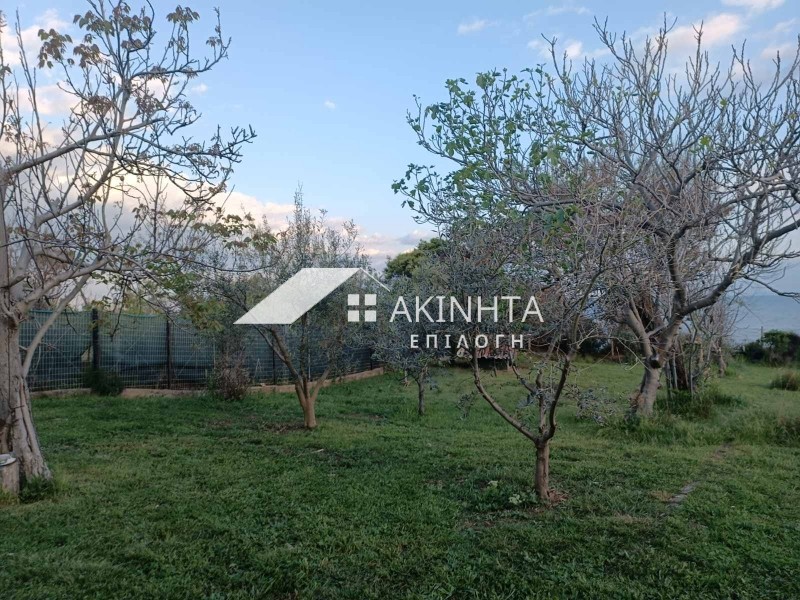 Βίλλα 185 τ.μ. πρός πώληση, Εβρος, Αλεξανδρούπολη