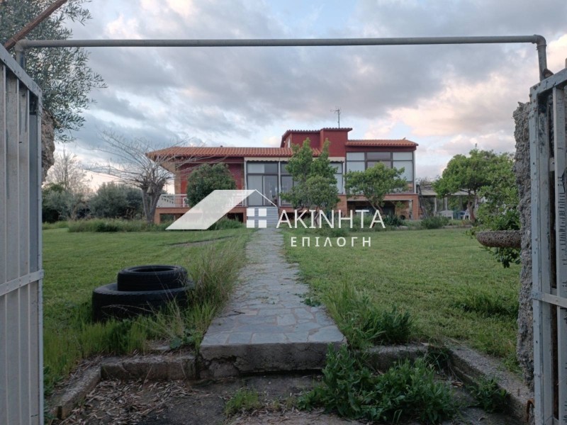Βίλλα 185 τ.μ. πρός πώληση, Εβρος, Αλεξανδρούπολη