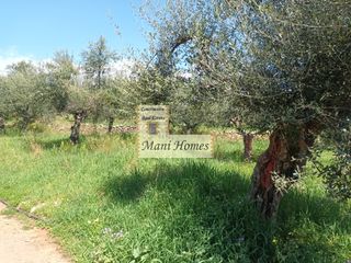 Οικόπεδο 336 τ.μ. για πώληση, Μεσσηνία, Λεύκτρος-thumb-1