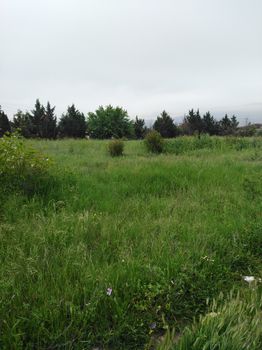 Αγροτεμάχια 5.000 τ.μ. για πώληση