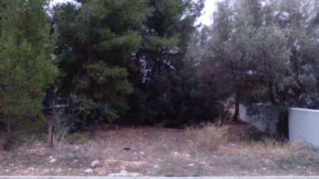 Οικόπεδο 352 τ.μ. για πώληση