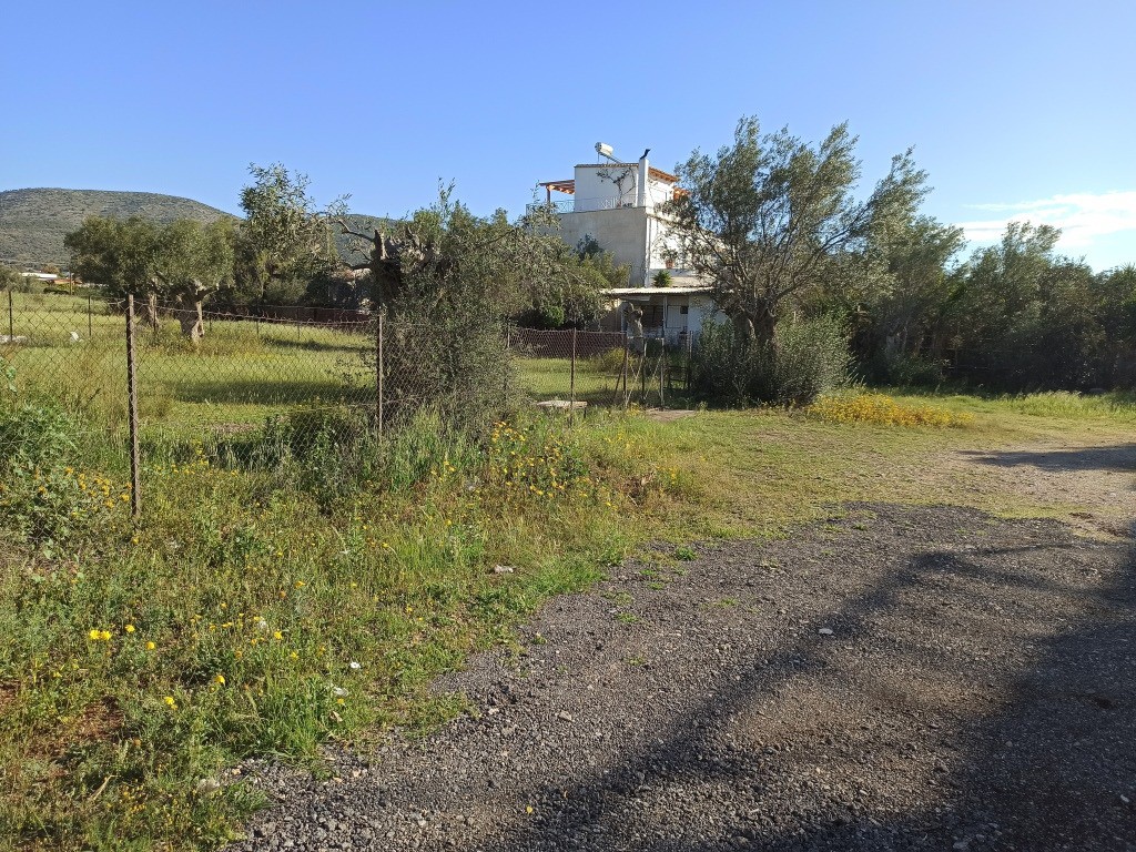 Οικόπεδο 414 τ.μ. πρός πώληση, Αττική - Υπόλοιπο, Νέα Πέραμος (μεγάλο Πεύκο)
