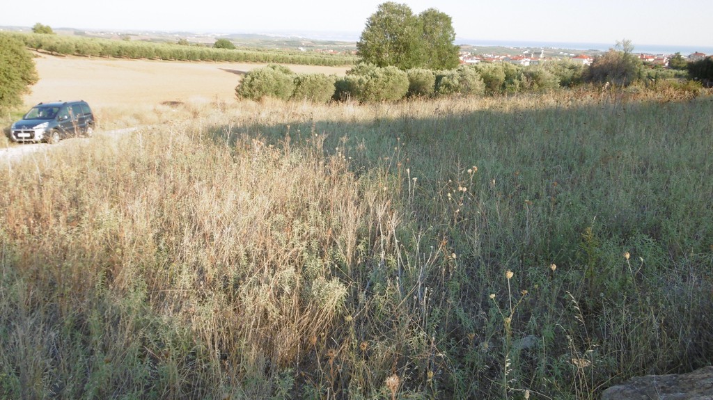 Οικόπεδο 582 τ.μ. προς πώληση, Νέα Τρίγλια