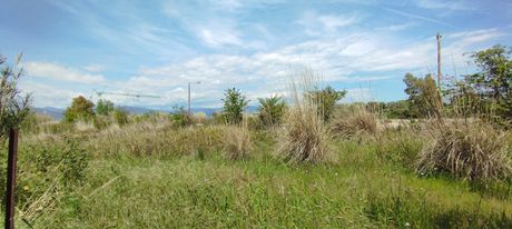 Parcel 1.000 sqm for sale