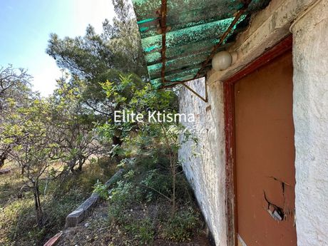 Μονοκατοικία 81τ.μ. για πώληση-Κερατέα » Ρουντζέρι λεμπρού
