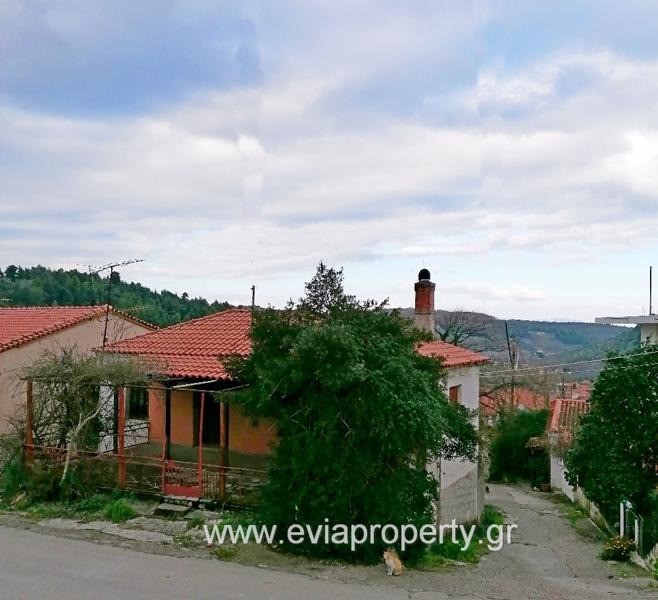 Μονοκατοικία 110 τ.μ. προς πώληση, Βασιλικά Αρτεμισίου