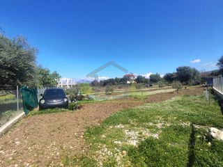 Οικόπεδο 3.000 τ.μ. για ενοικίαση, Αχαΐα, Μεσσατίδα-thumb-18