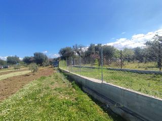 Οικόπεδο 3.000 τ.μ. για ενοικίαση, Αχαΐα, Μεσσατίδα-thumb-3