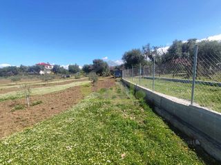 Οικόπεδο 3.000 τ.μ. για ενοικίαση, Αχαΐα, Μεσσατίδα-thumb-2