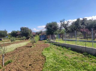 Οικόπεδο 3.000 τ.μ. για ενοικίαση, Αχαΐα, Μεσσατίδα-thumb-8