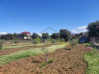 Οικόπεδο 3.000 τ.μ. για ενοικίαση, Αχαΐα, Μεσσατίδα-thumb-21