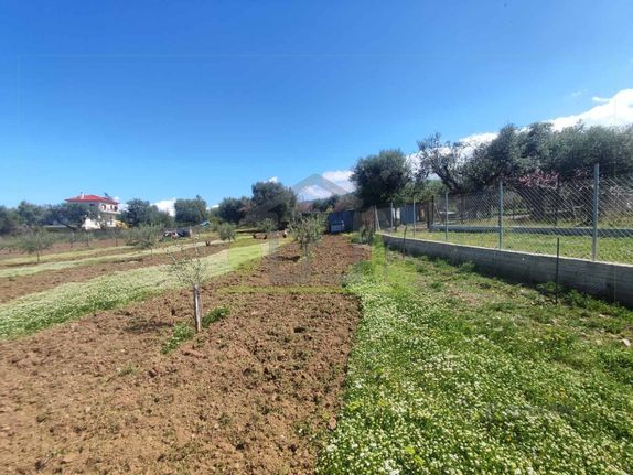 Οικόπεδο 3.000 τ.μ. για ενοικίαση, Αχαΐα, Μεσσατίδα