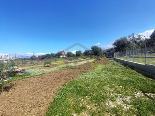 Οικόπεδο 3.000 τ.μ. για ενοικίαση, Αχαΐα, Μεσσατίδα-thumb-5
