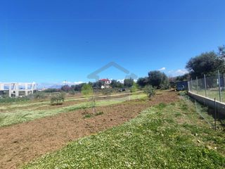 Οικόπεδο 3.000 τ.μ. για ενοικίαση, Αχαΐα, Μεσσατίδα-thumb-10