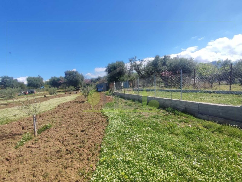 Οικόπεδο 3.000 τ.μ. πρός ενοικίαση, Αχαΐα, Μεσσατίδα