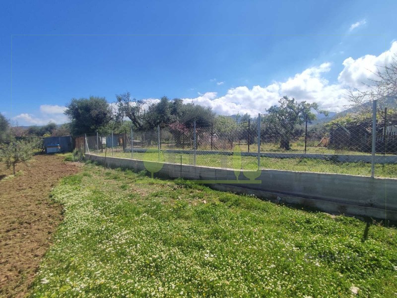 Οικόπεδο 3.000 τ.μ. πρός ενοικίαση, Αχαΐα, Μεσσατίδα