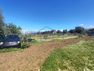 Οικόπεδο 3.000 τ.μ. για ενοικίαση, Αχαΐα, Μεσσατίδα-thumb-19