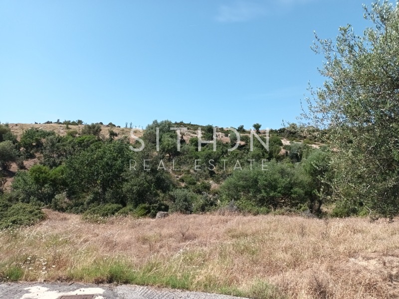 Οικόπεδο 500 τ.μ. προς πώληση, Σκάλα Συκέας