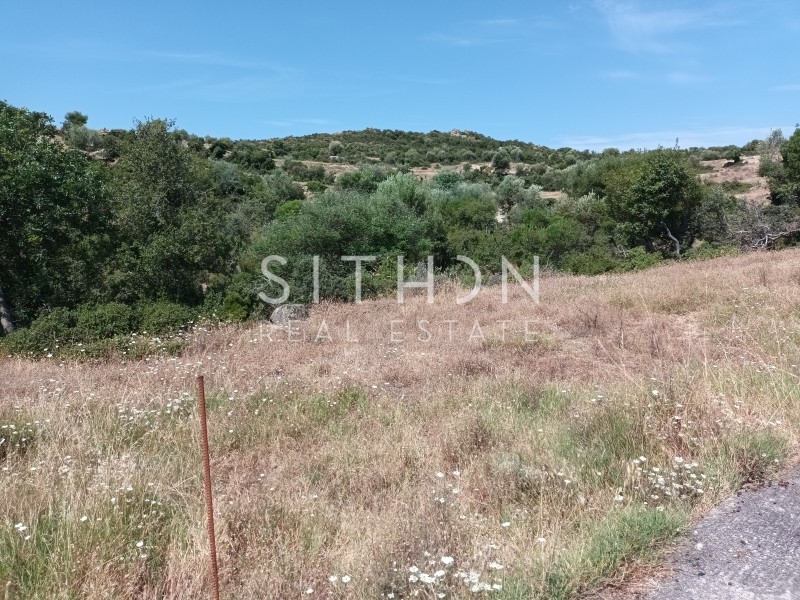 Οικόπεδο 500 τ.μ. προς πώληση, Σκάλα Συκέας