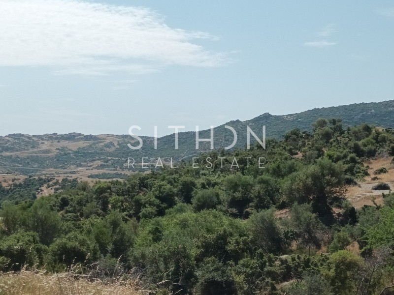 Οικόπεδο 500 τ.μ. προς πώληση, Σκάλα Συκέας