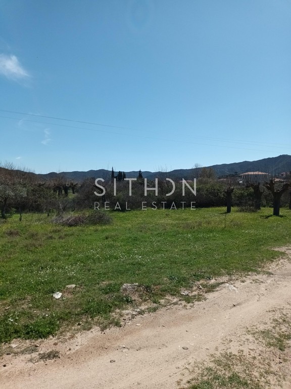 Αγροτεμάχια 460 τ.μ. πρός πώληση, Χαλκιδική, Τορώνη