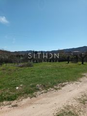 Αγροτεμάχια 460 τ.μ. για πώληση