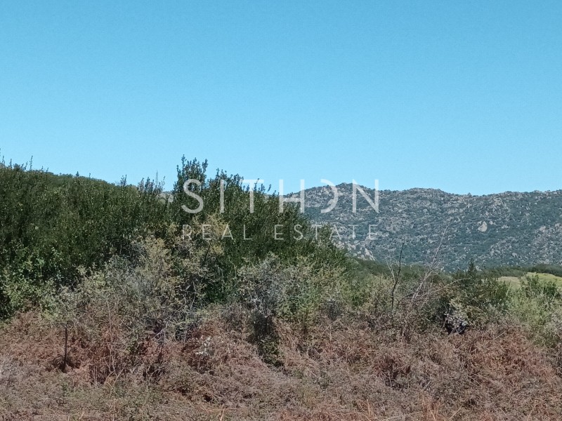 Αγροτεμάχια 480 τ.μ. προς πώληση, Συκιά Τορώνης